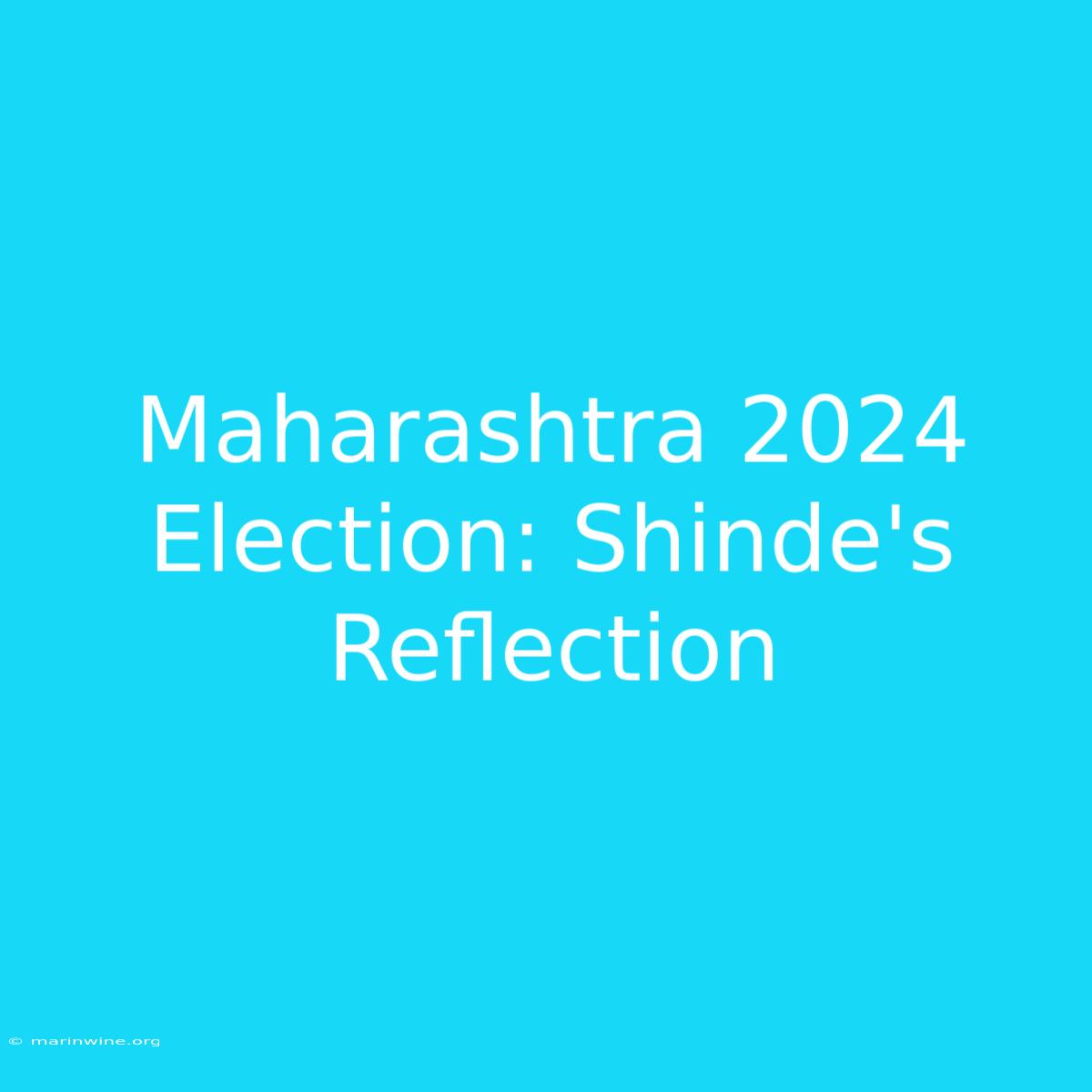 Maharashtra 2024 Election: Shinde's Reflection