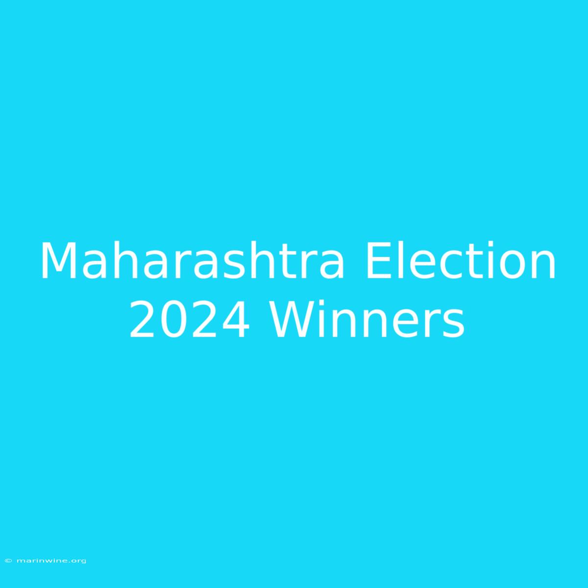 Maharashtra Election 2024 Winners