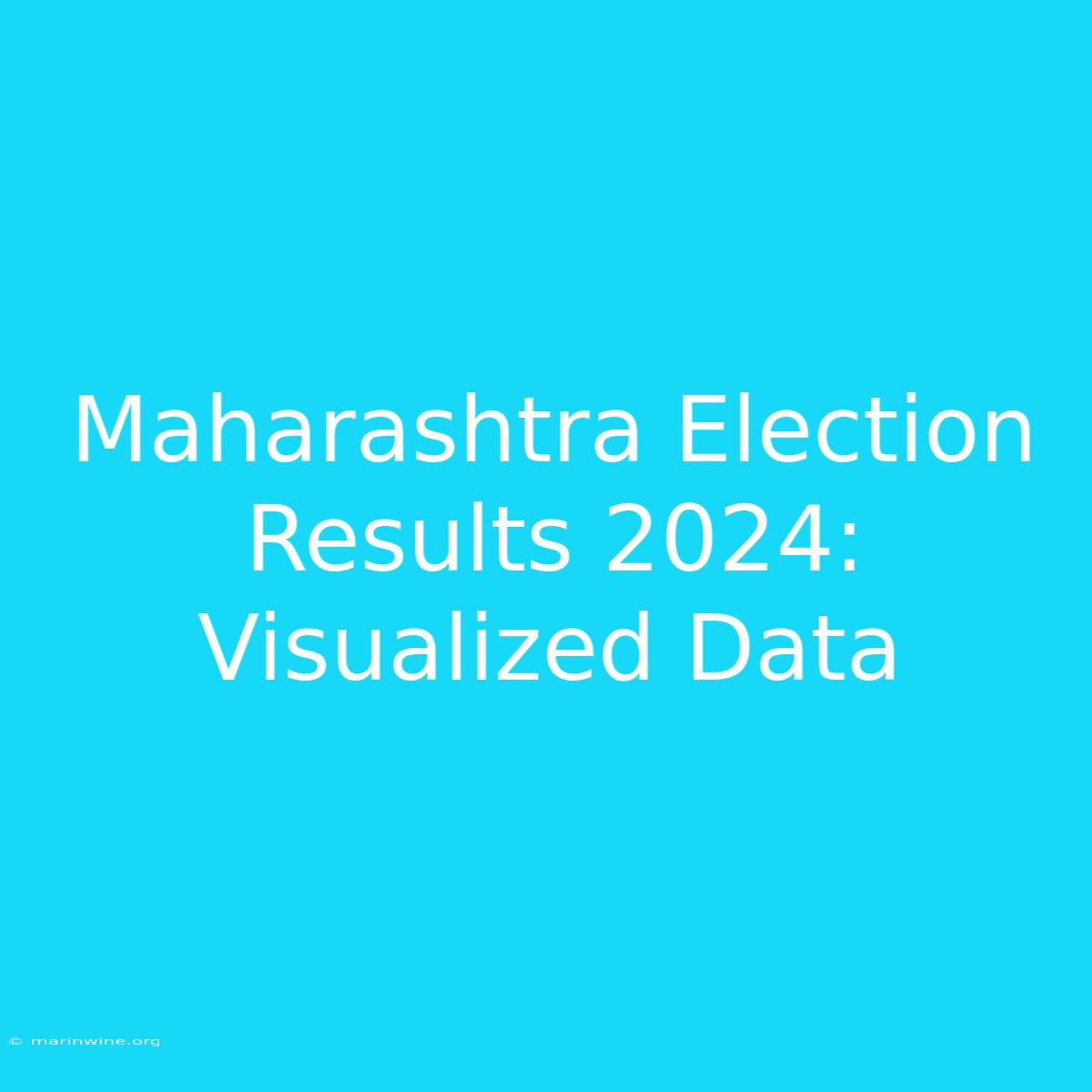 Maharashtra Election Results 2024: Visualized Data