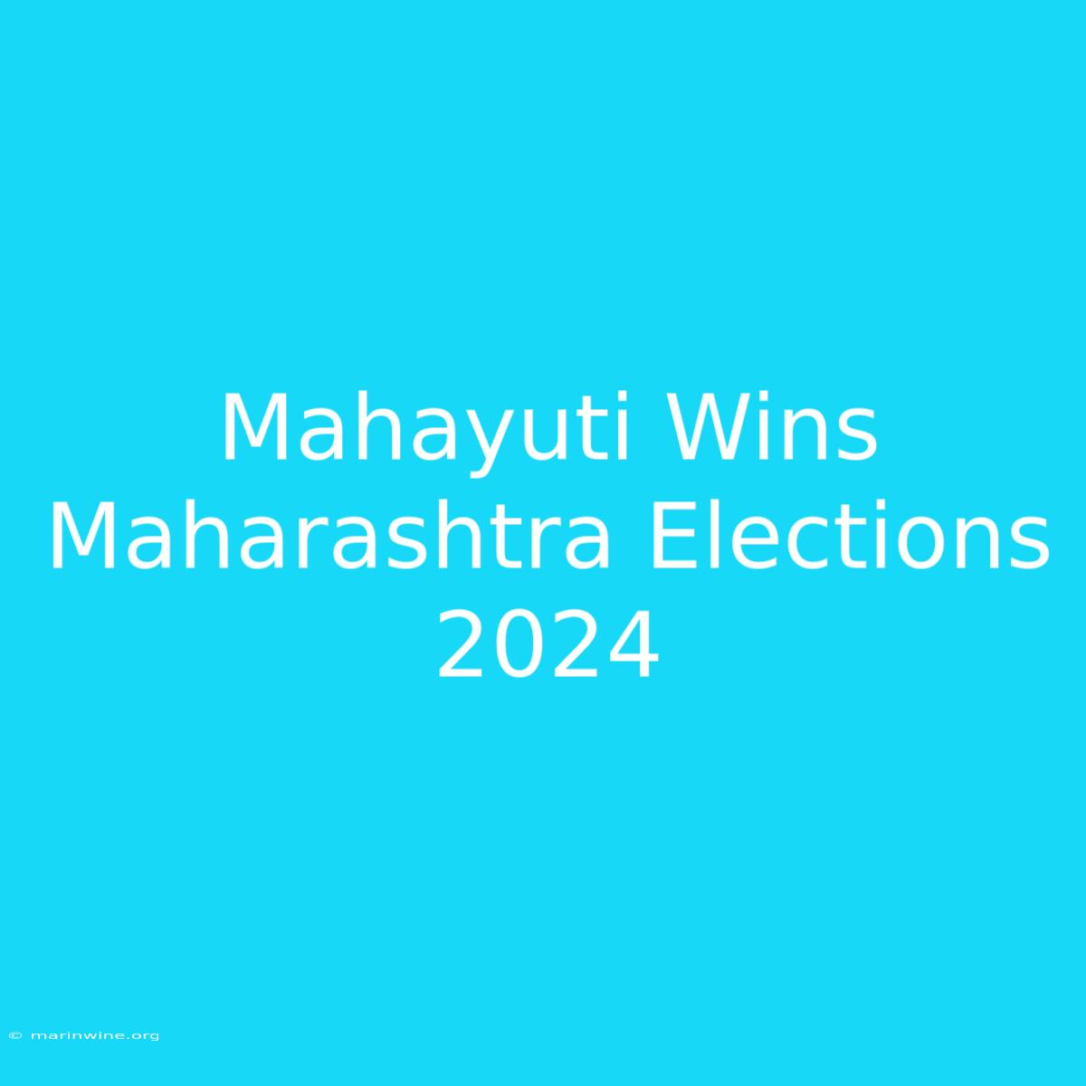 Mahayuti Wins Maharashtra Elections 2024