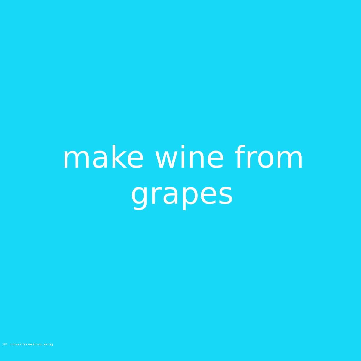 Make Wine From Grapes