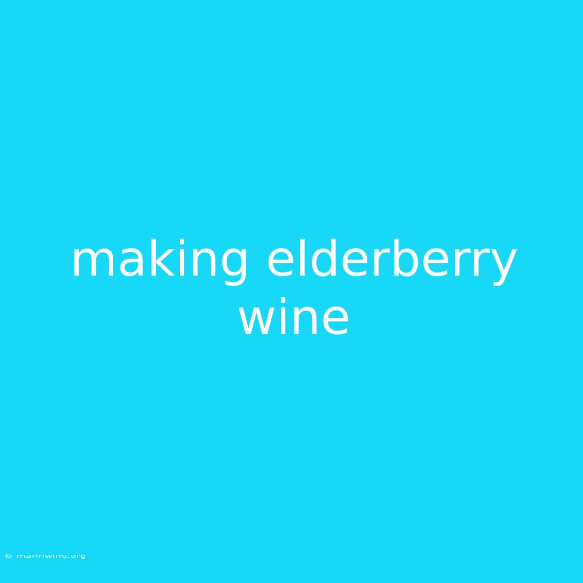 Making Elderberry Wine