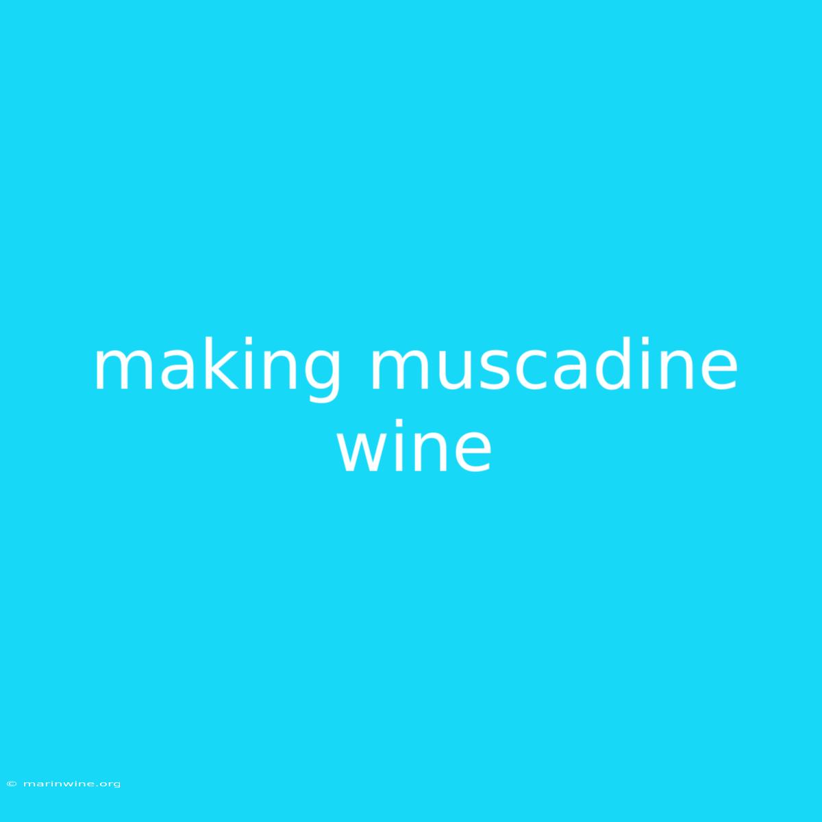 Making Muscadine Wine