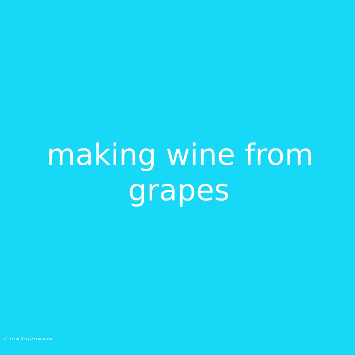 Making Wine From Grapes