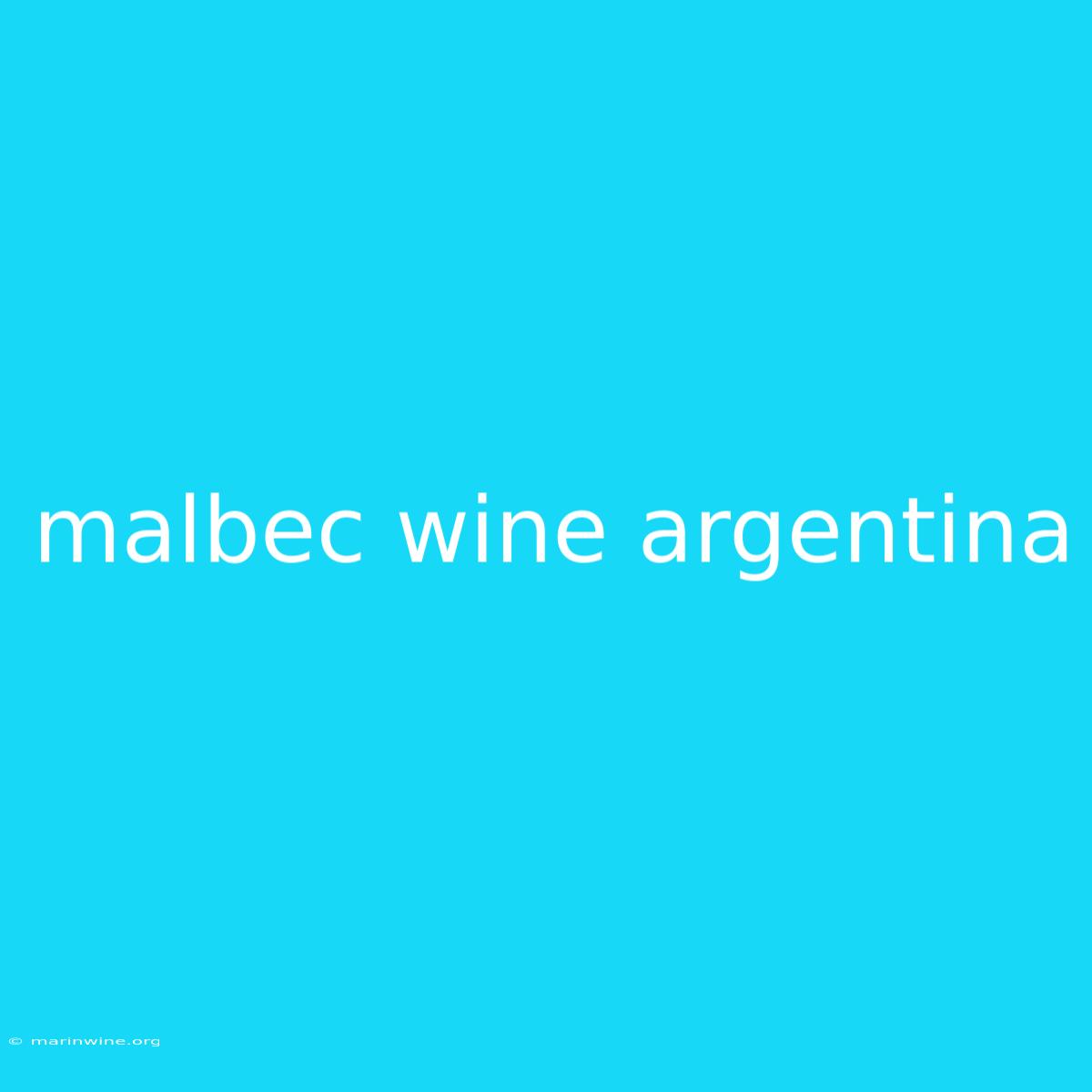 Malbec Wine Argentina