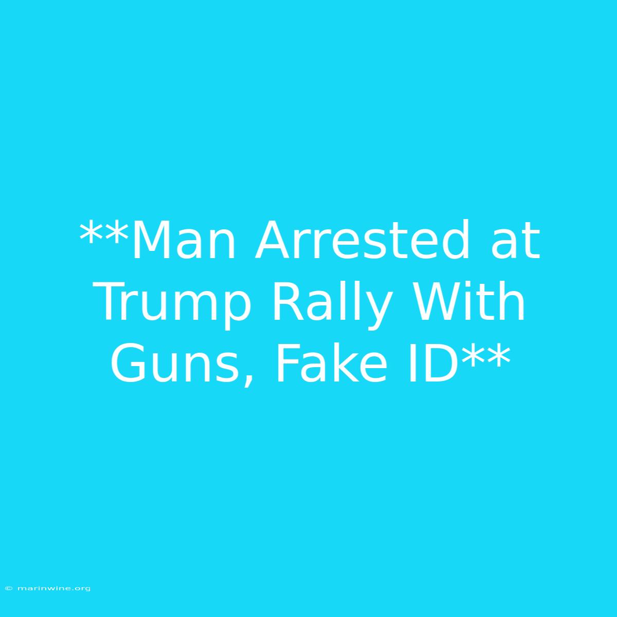 **Man Arrested At Trump Rally With Guns, Fake ID**