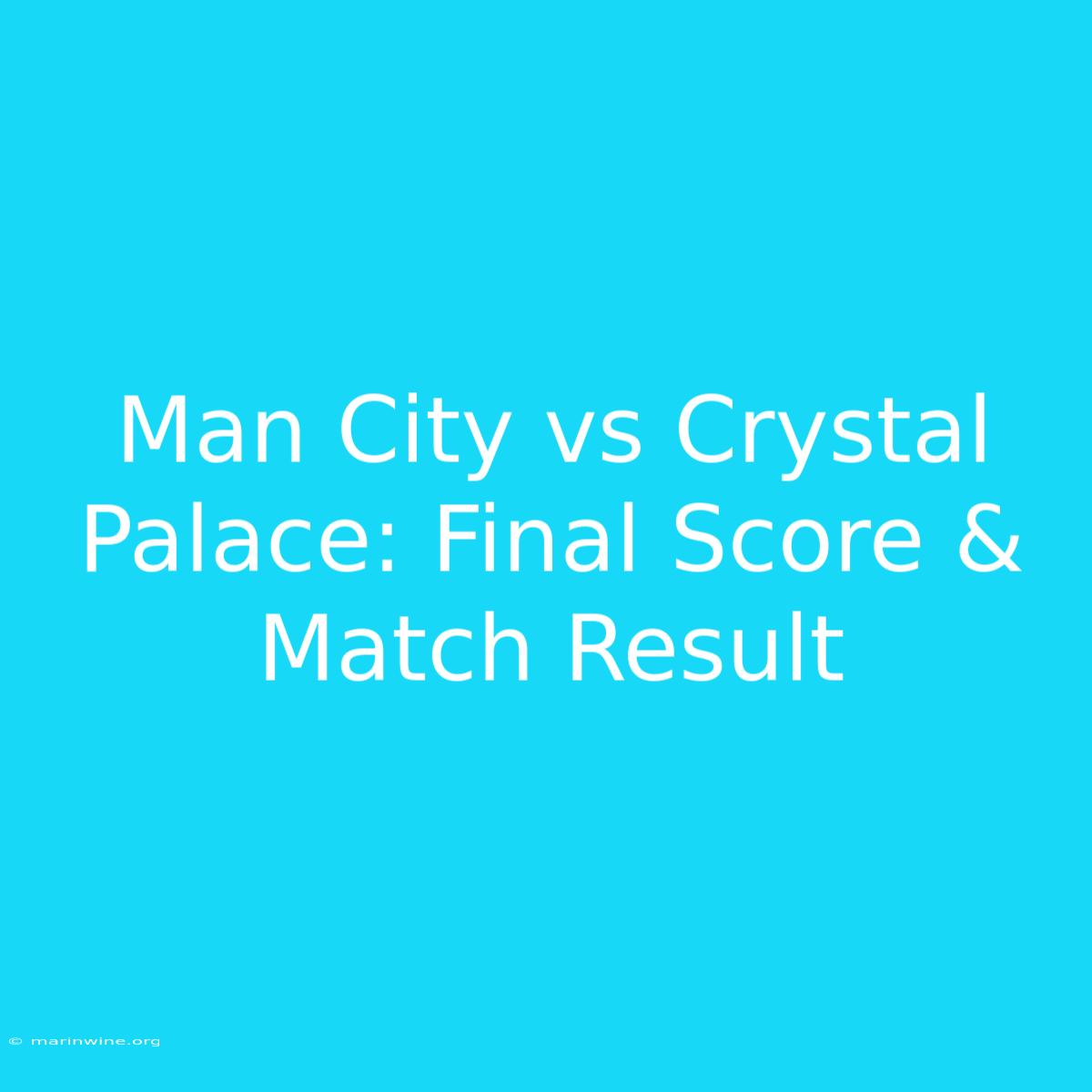 Man City Vs Crystal Palace: Final Score & Match Result