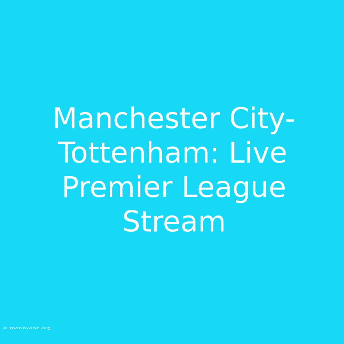 Manchester City-Tottenham: Live Premier League Stream