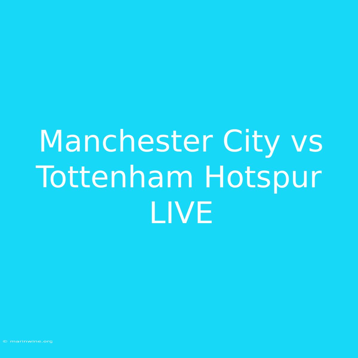 Manchester City Vs Tottenham Hotspur LIVE