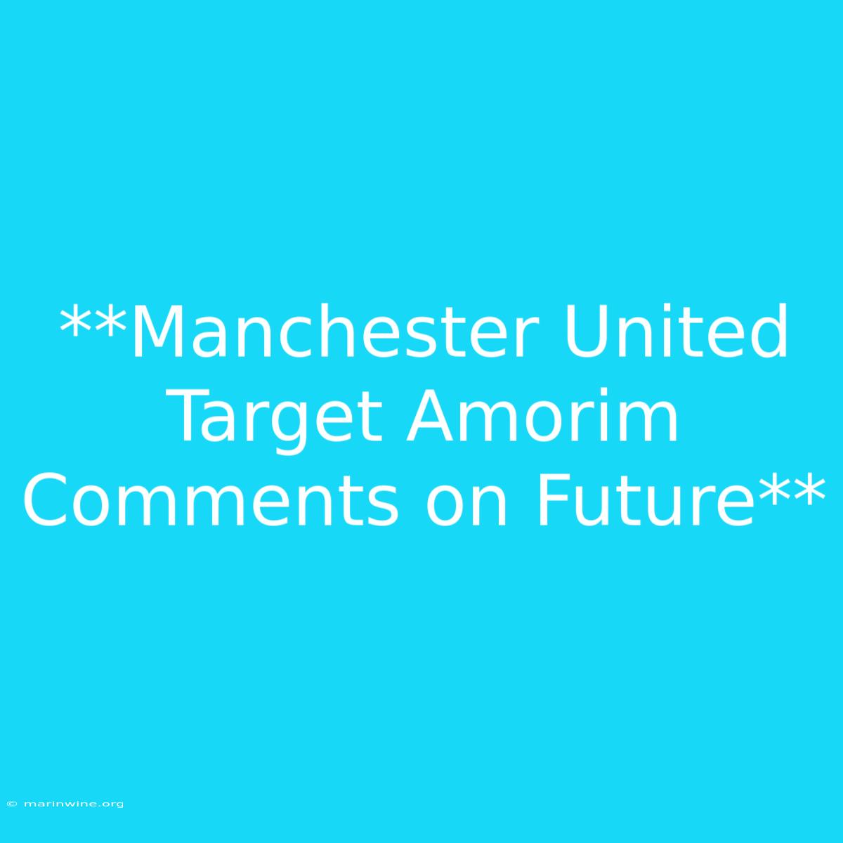 **Manchester United Target Amorim Comments On Future**