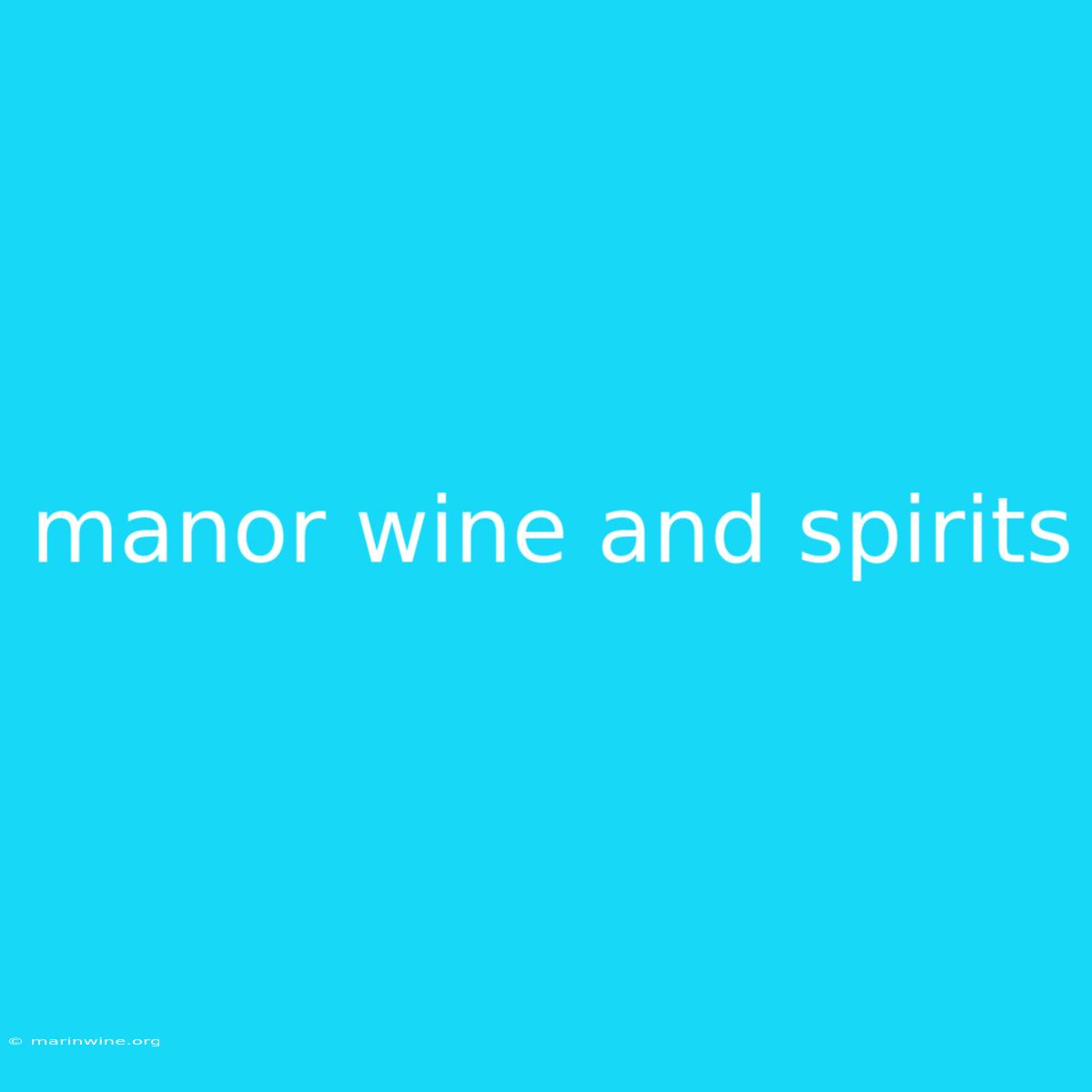 Manor Wine And Spirits