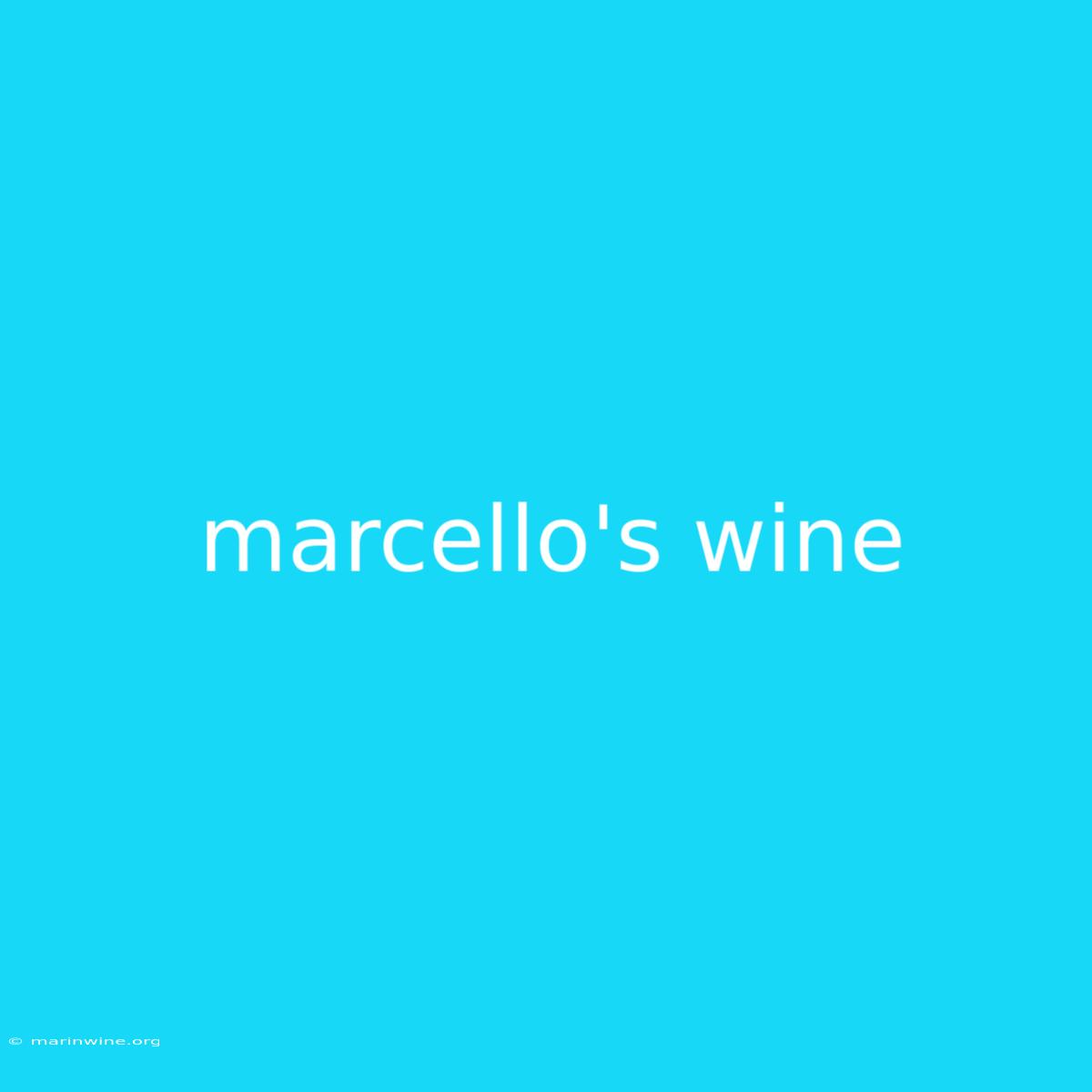 Marcello's Wine