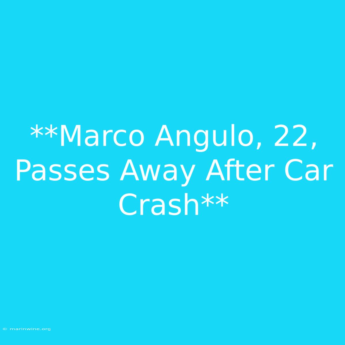 **Marco Angulo, 22, Passes Away After Car Crash**