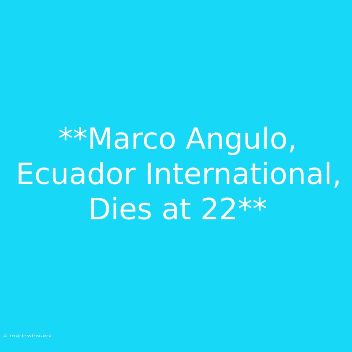 **Marco Angulo, Ecuador International, Dies At 22**