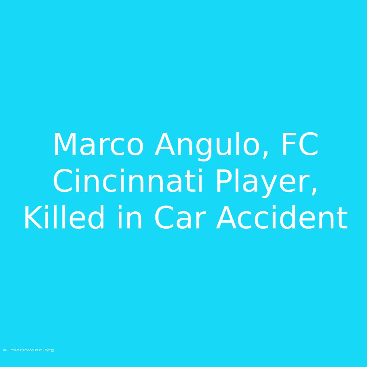 Marco Angulo, FC Cincinnati Player, Killed In Car Accident 