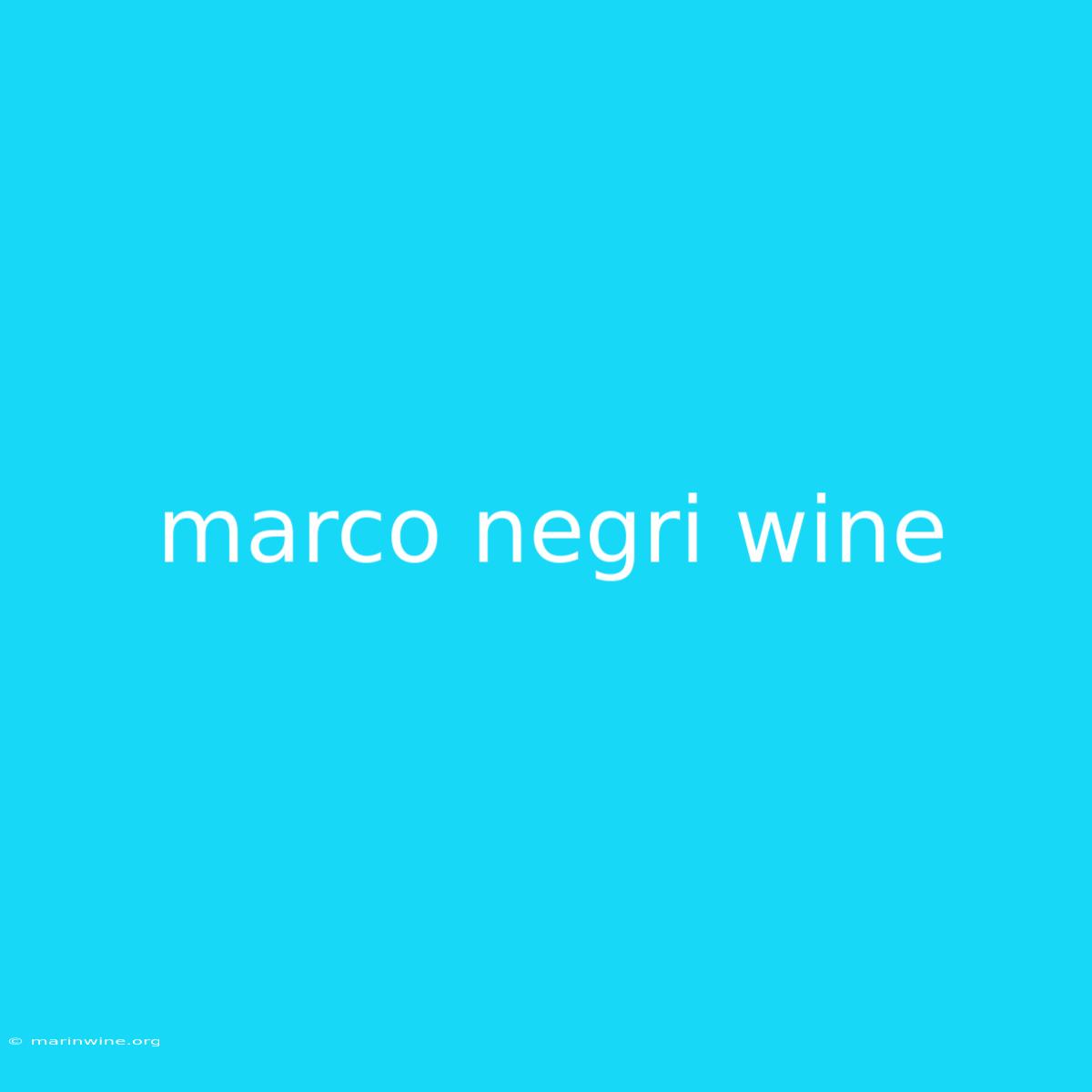 Marco Negri Wine