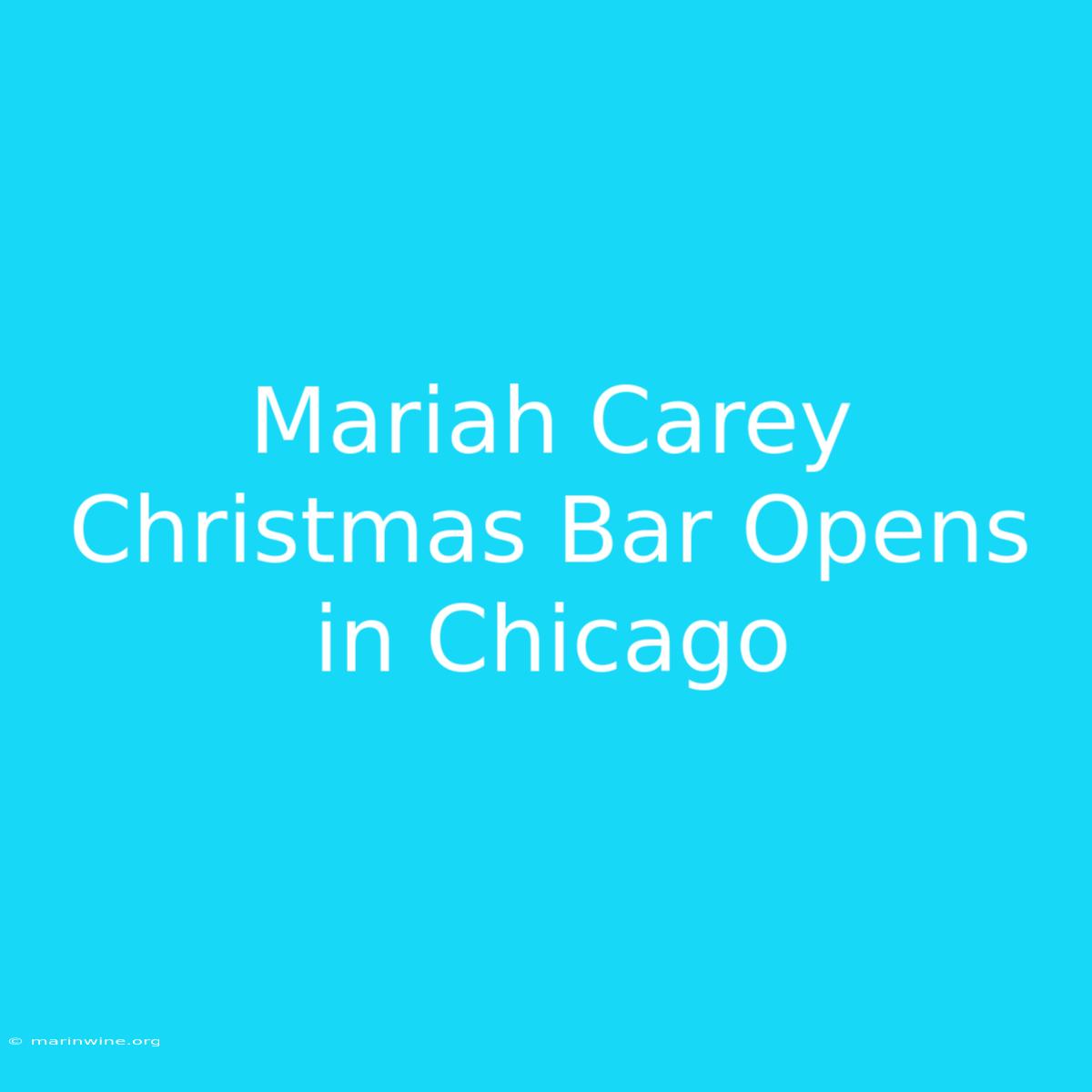 Mariah Carey Christmas Bar Opens In Chicago