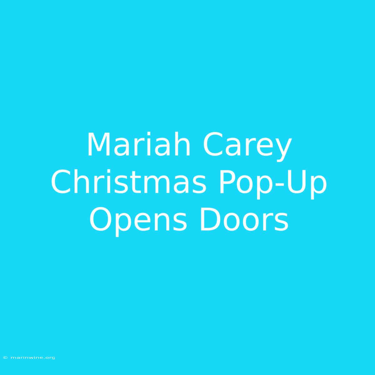 Mariah Carey Christmas Pop-Up Opens Doors