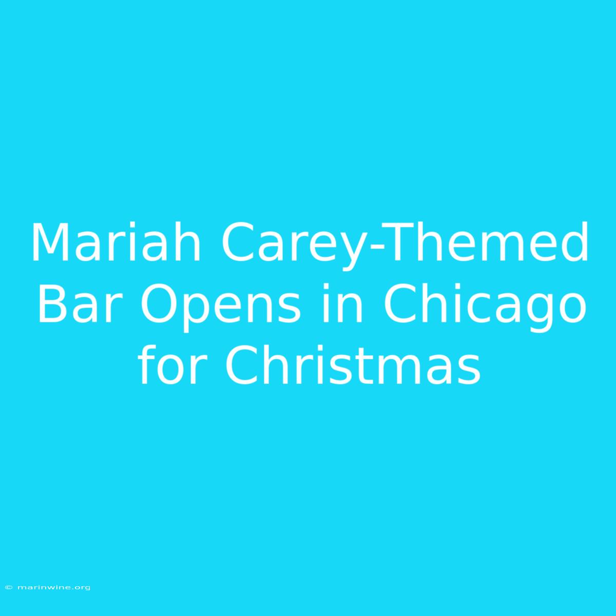 Mariah Carey-Themed Bar Opens In Chicago For Christmas 