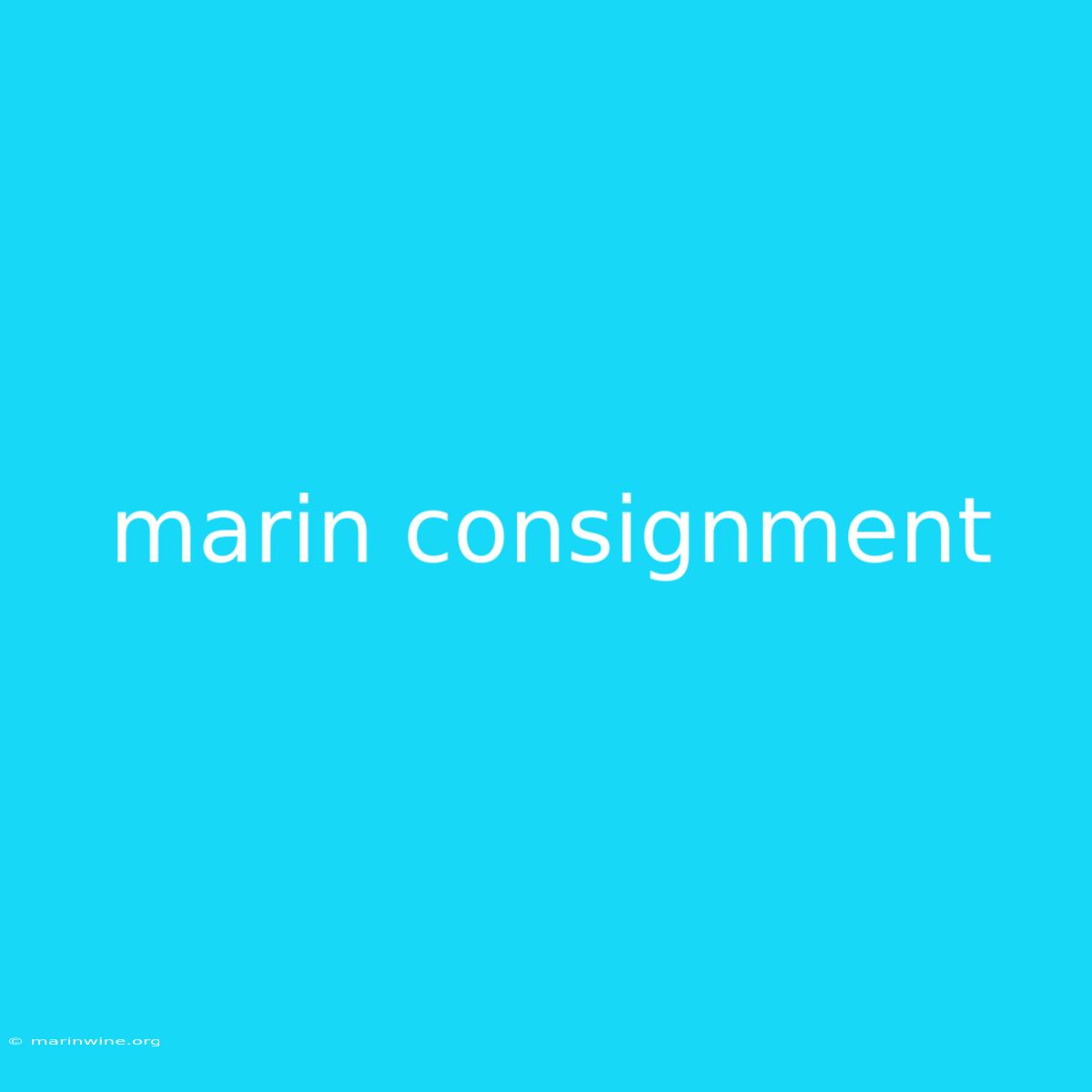 Marin Consignment