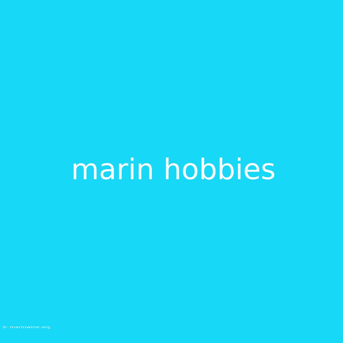 Marin Hobbies