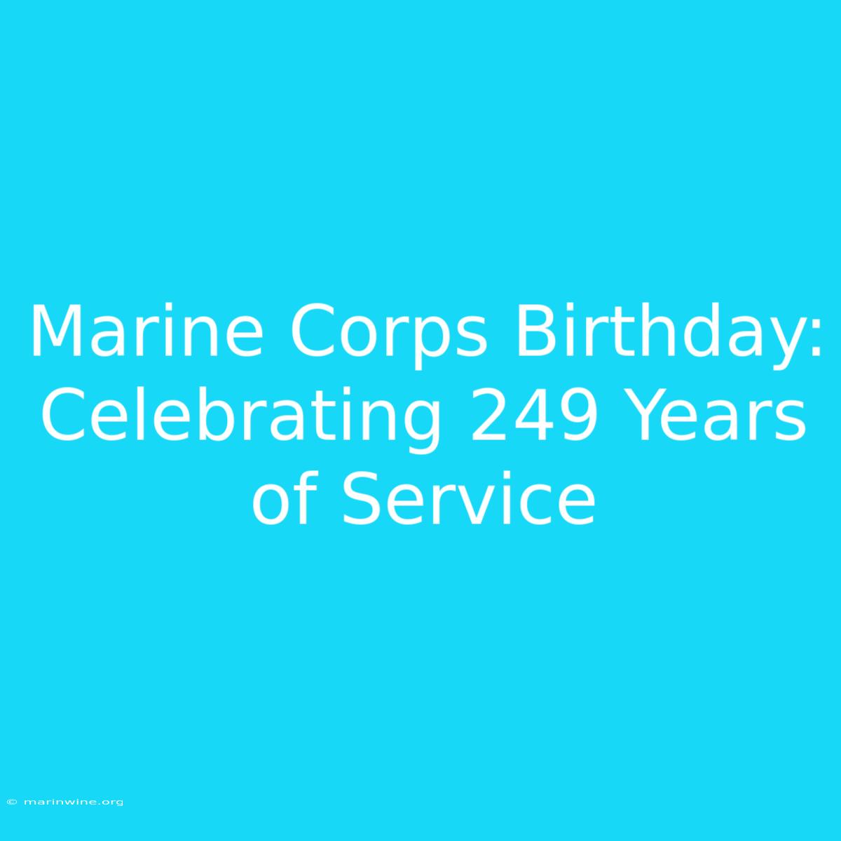 Marine Corps Birthday: Celebrating 249 Years Of Service