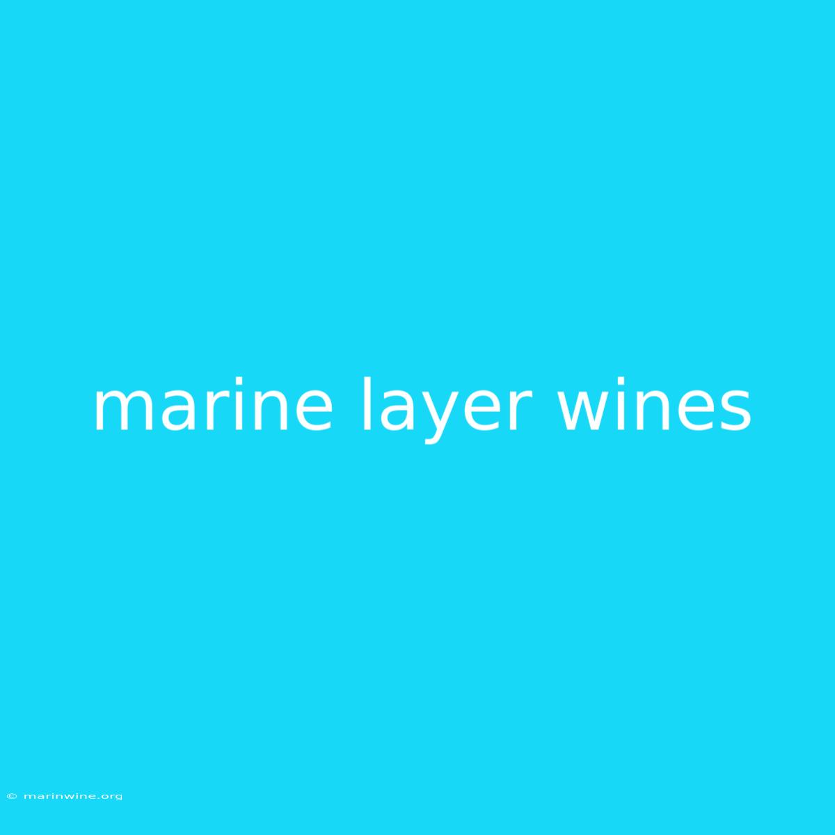 Marine Layer Wines