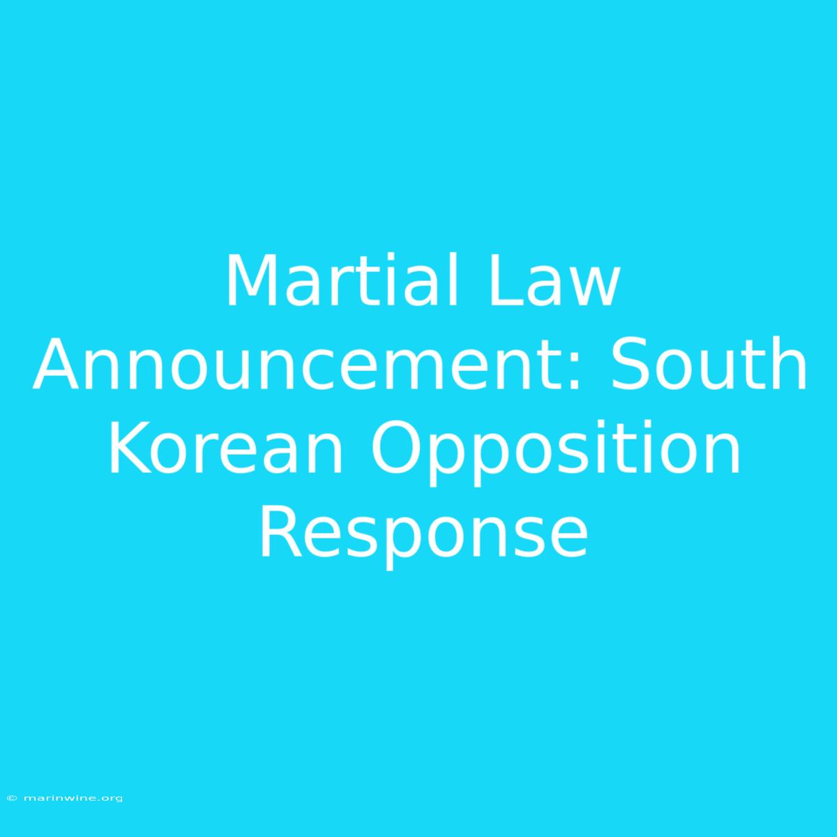 Martial Law Announcement: South Korean Opposition Response