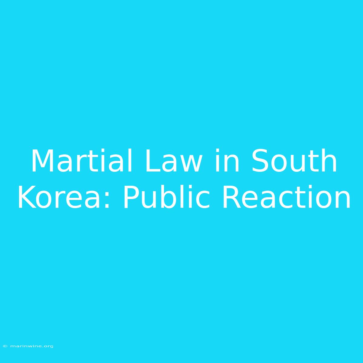 Martial Law In South Korea: Public Reaction