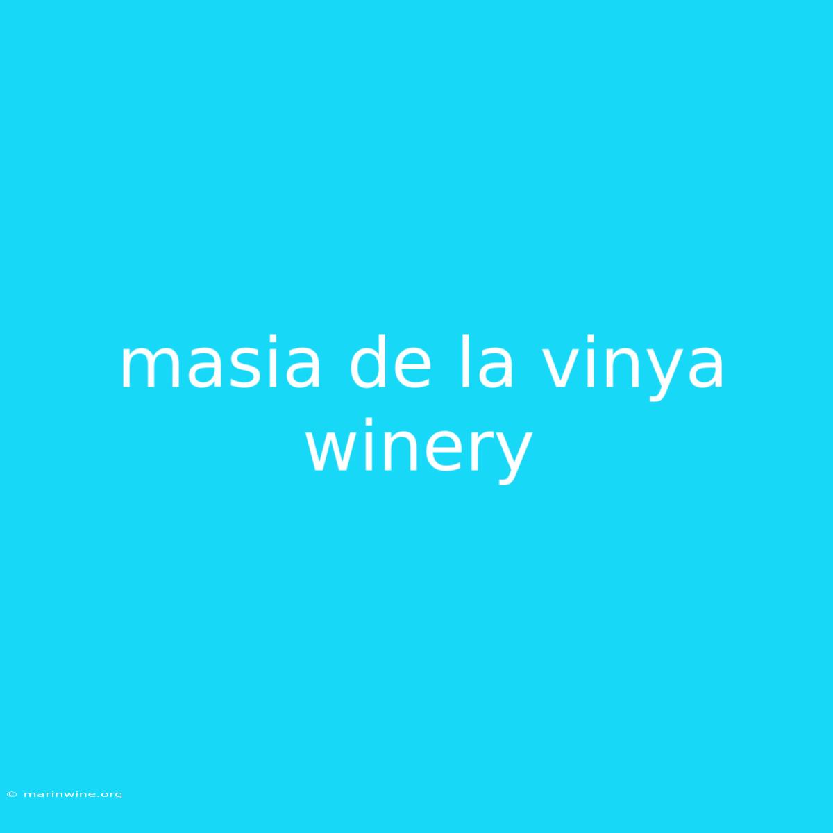 Masia De La Vinya Winery