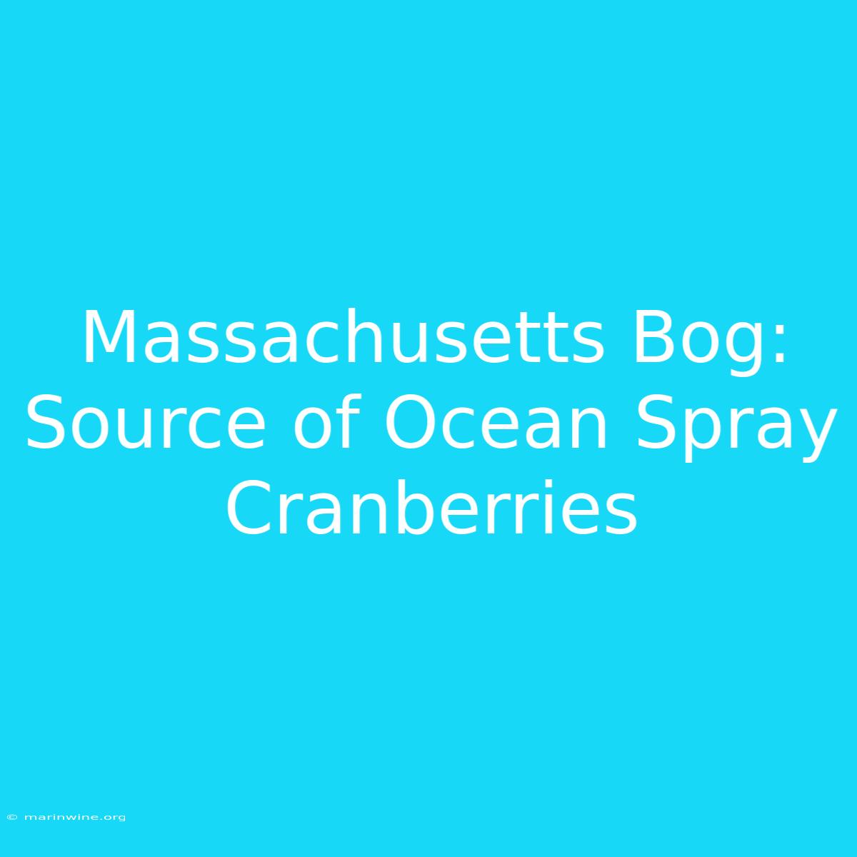 Massachusetts Bog: Source Of Ocean Spray Cranberries