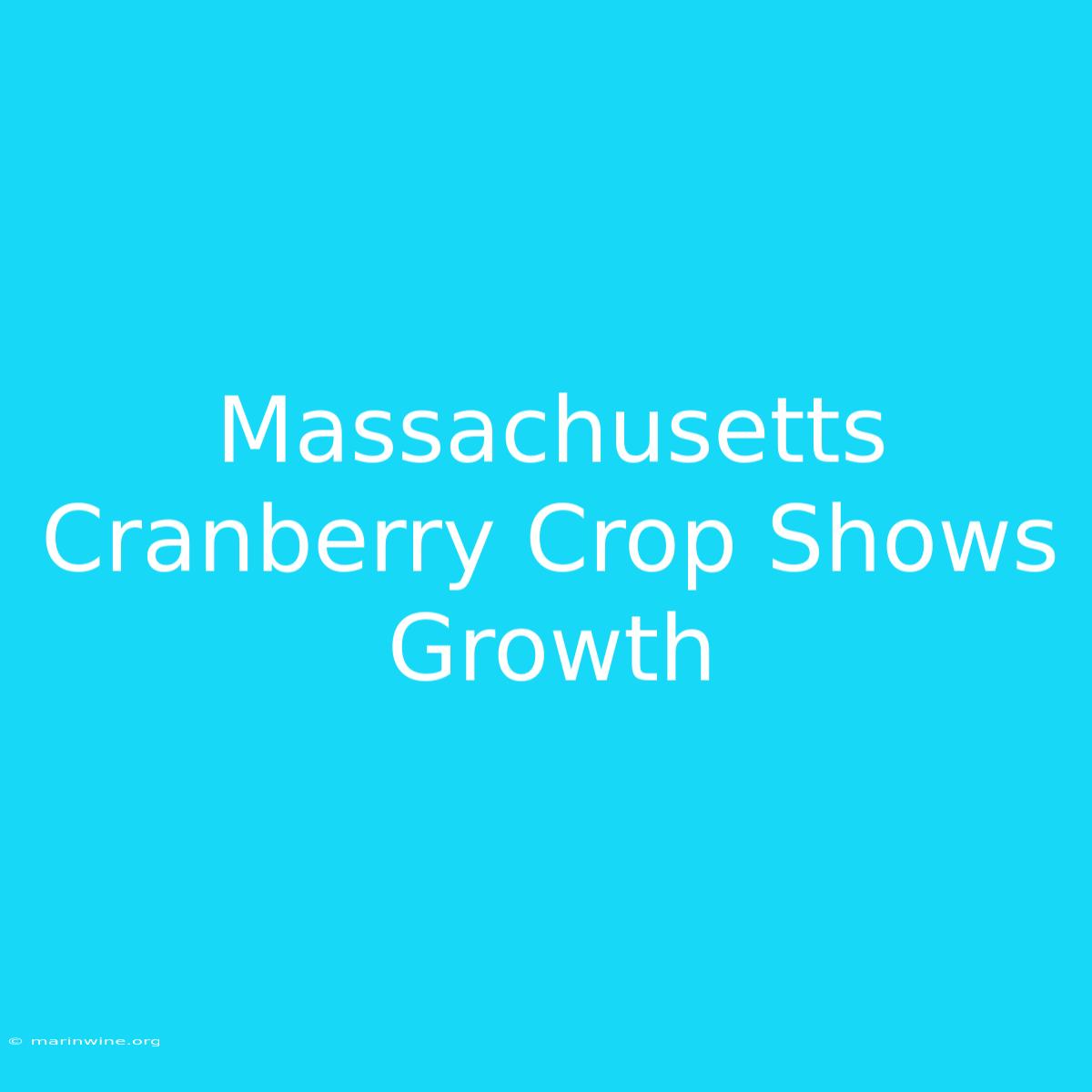 Massachusetts Cranberry Crop Shows Growth