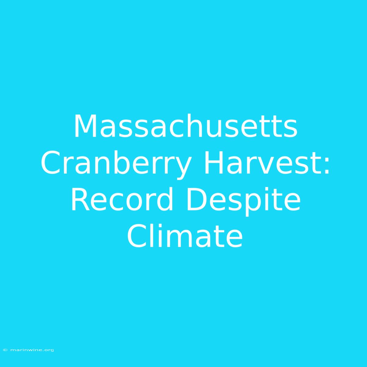 Massachusetts Cranberry Harvest: Record Despite Climate