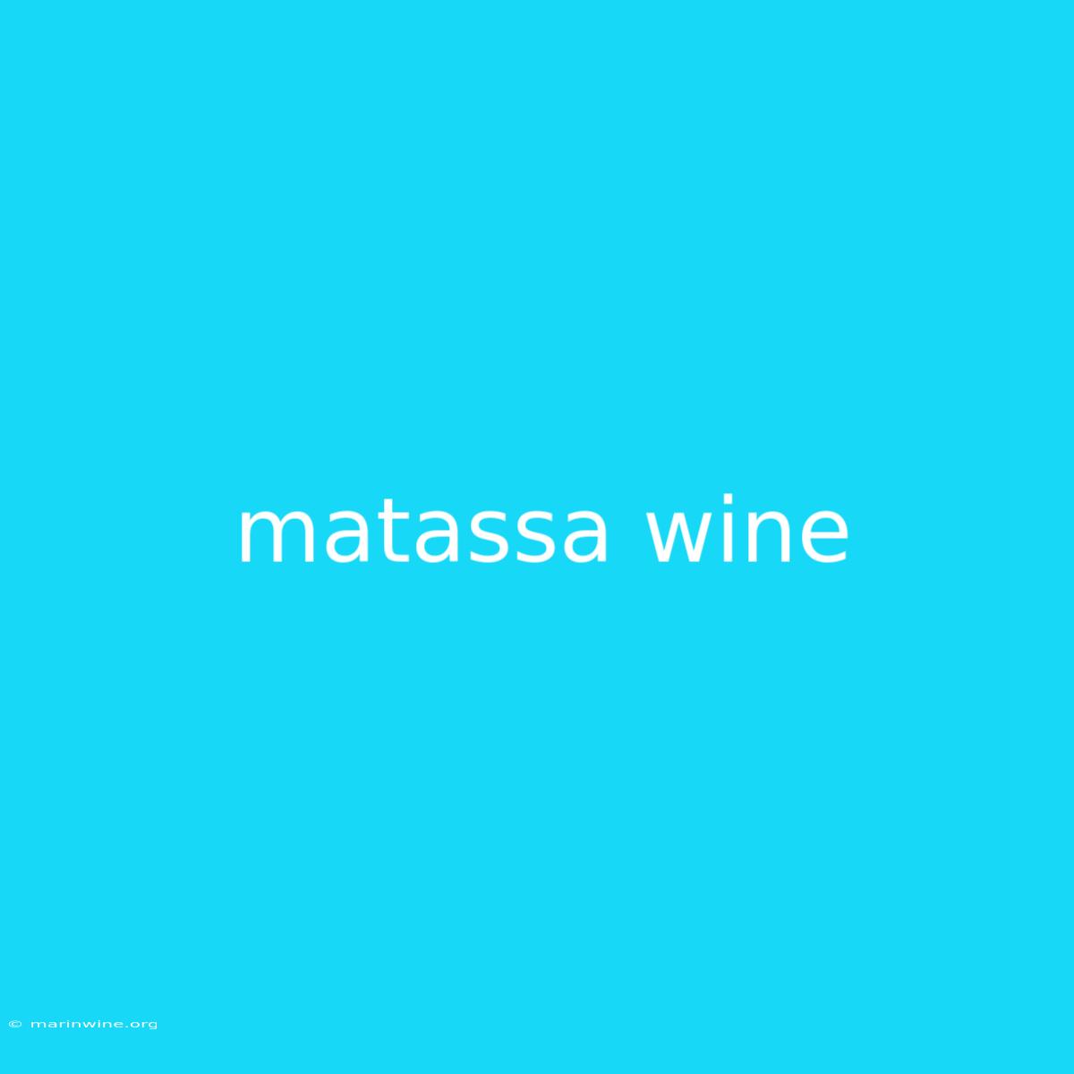 Matassa Wine