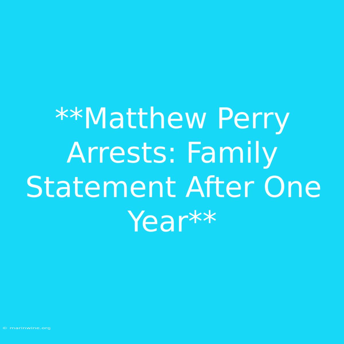 **Matthew Perry Arrests: Family Statement After One Year** 