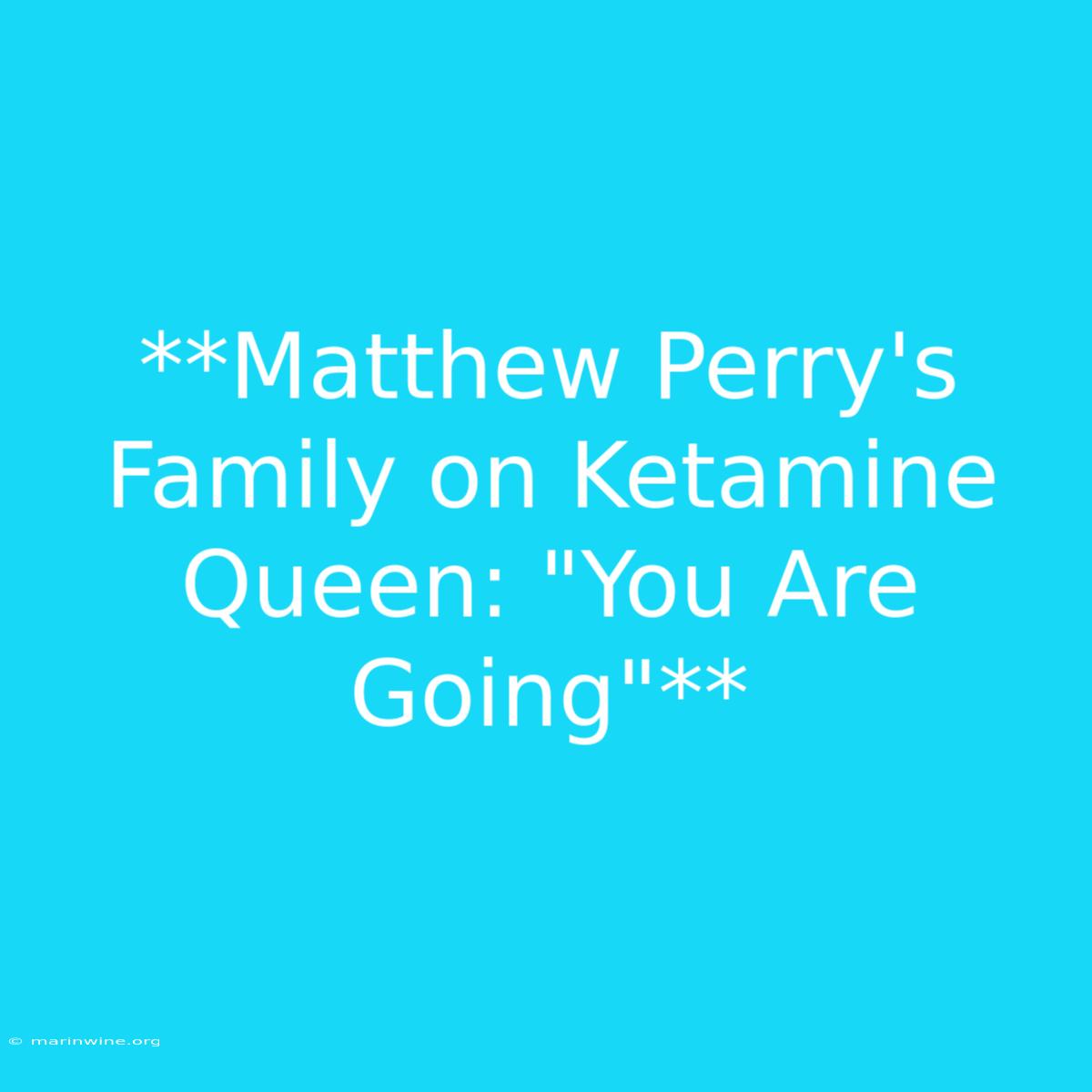 **Matthew Perry's Family On Ketamine Queen: 