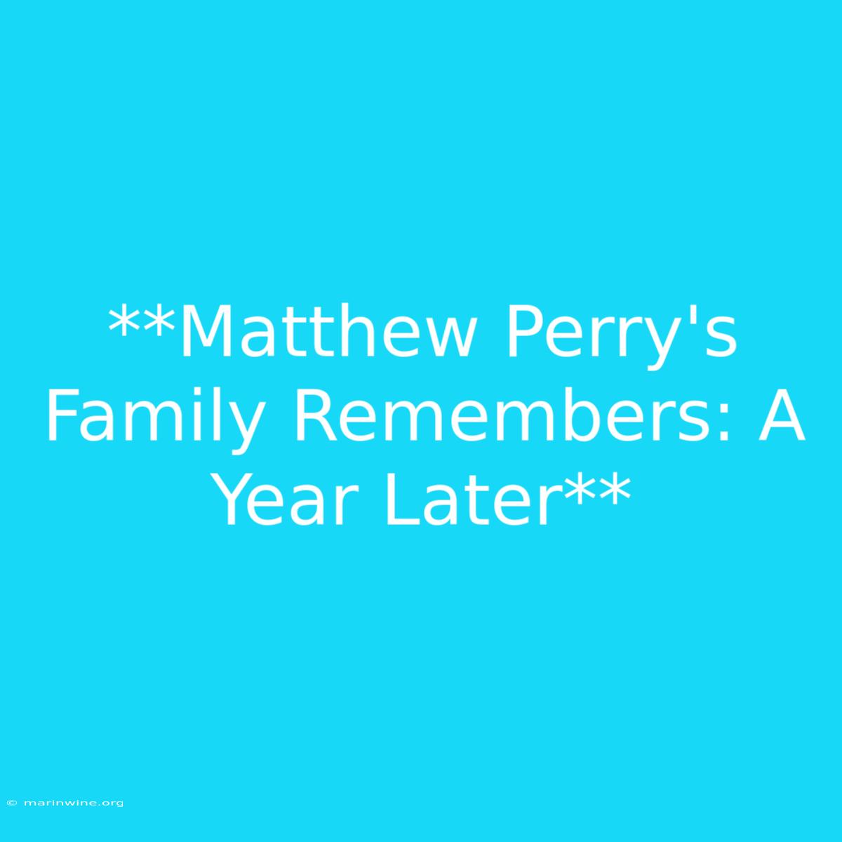 **Matthew Perry's Family Remembers: A Year Later**