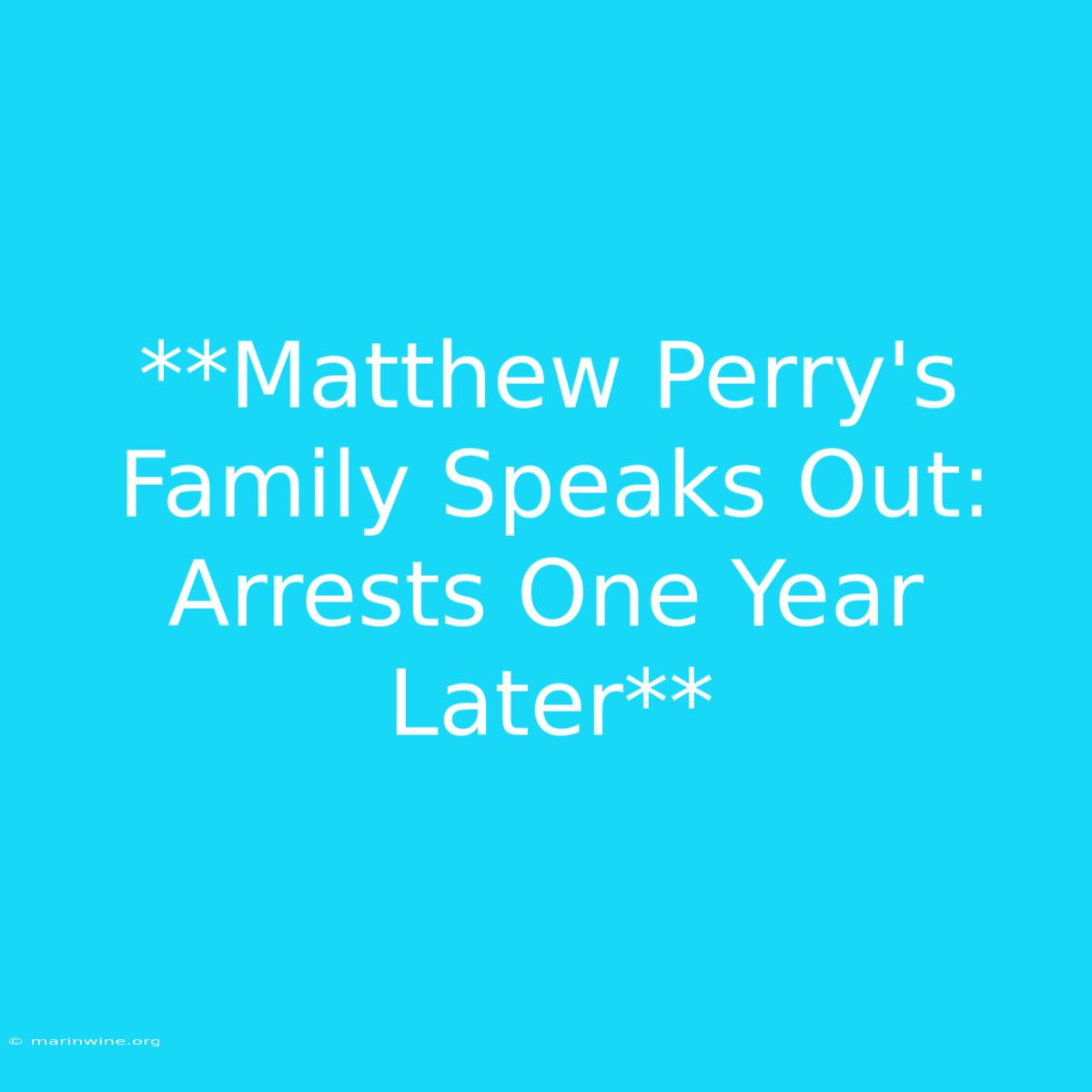 **Matthew Perry's Family Speaks Out: Arrests One Year Later**