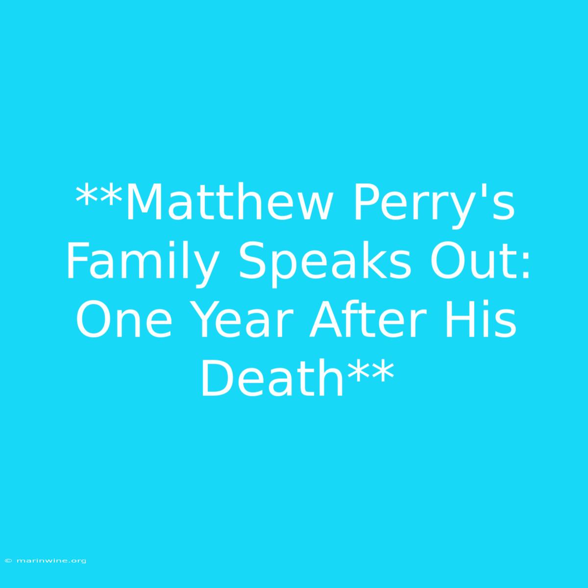 **Matthew Perry's Family Speaks Out: One Year After His Death**