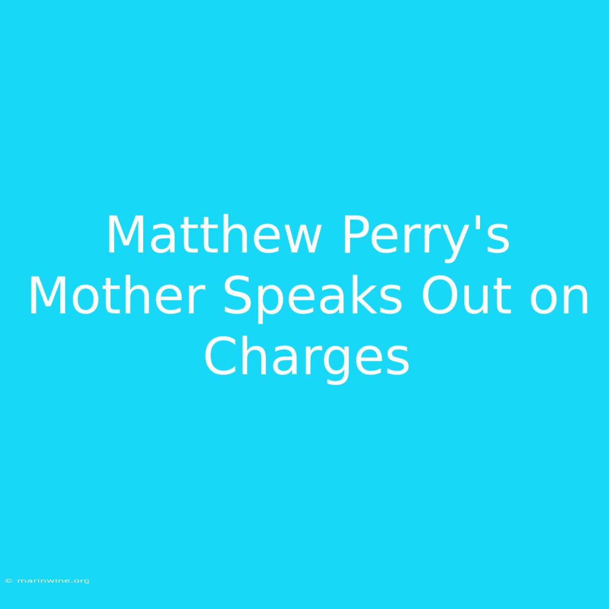 Matthew Perry's Mother Speaks Out On Charges