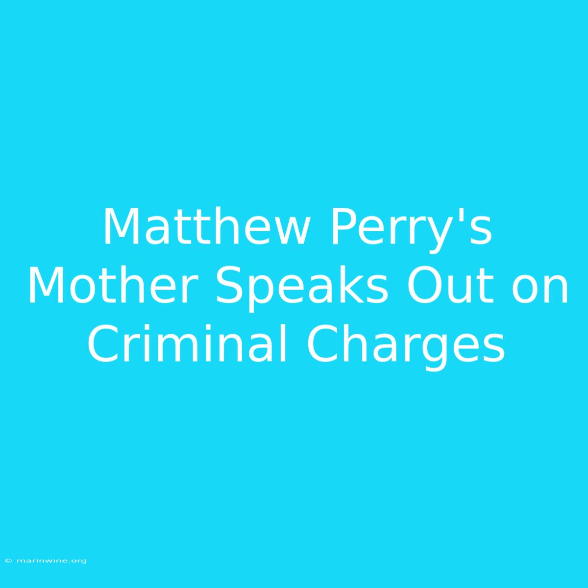 Matthew Perry's Mother Speaks Out On Criminal Charges