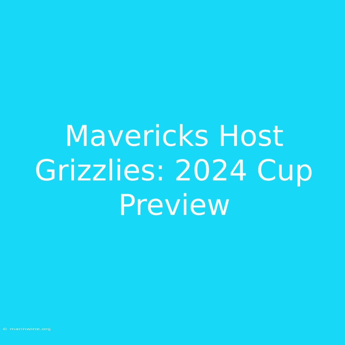 Mavericks Host Grizzlies: 2024 Cup Preview