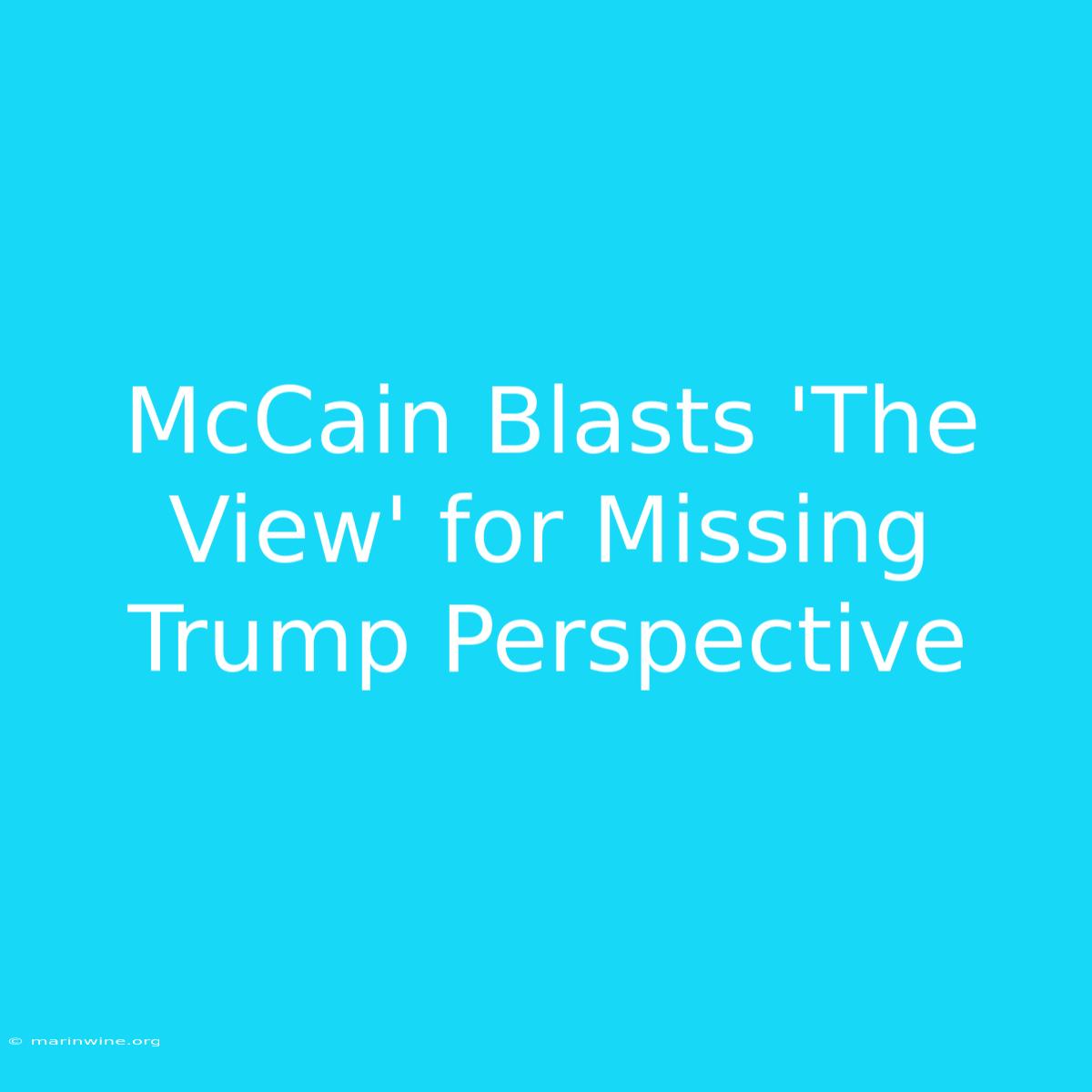 McCain Blasts 'The View' For Missing Trump Perspective 