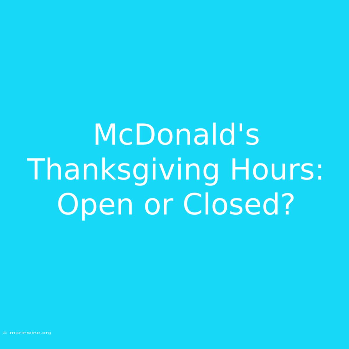 McDonald's Thanksgiving Hours: Open Or Closed?