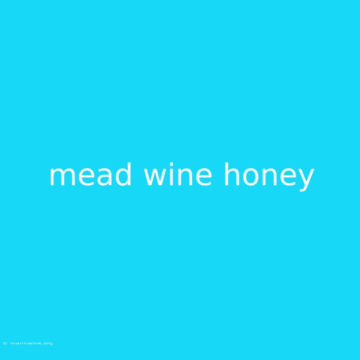 Mead Wine Honey