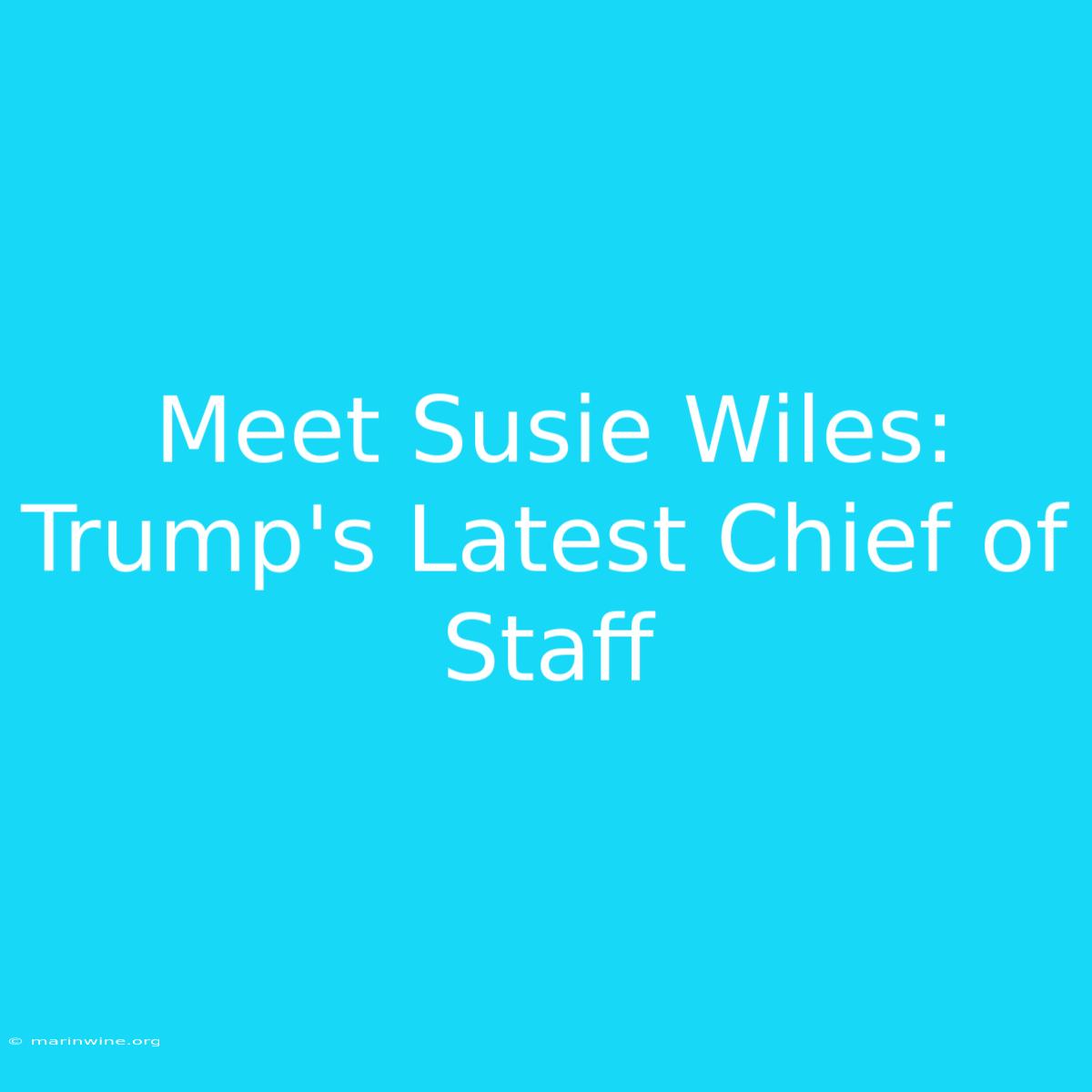 Meet Susie Wiles: Trump's Latest Chief Of Staff