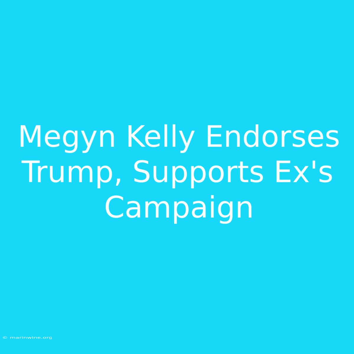 Megyn Kelly Endorses Trump, Supports Ex's Campaign