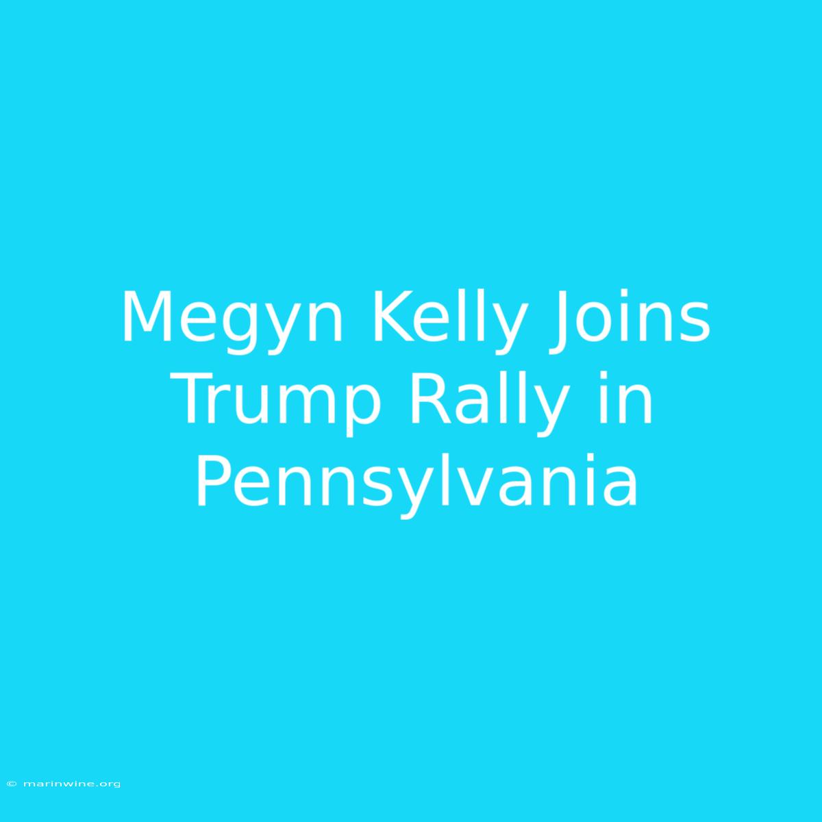 Megyn Kelly Joins Trump Rally In Pennsylvania 