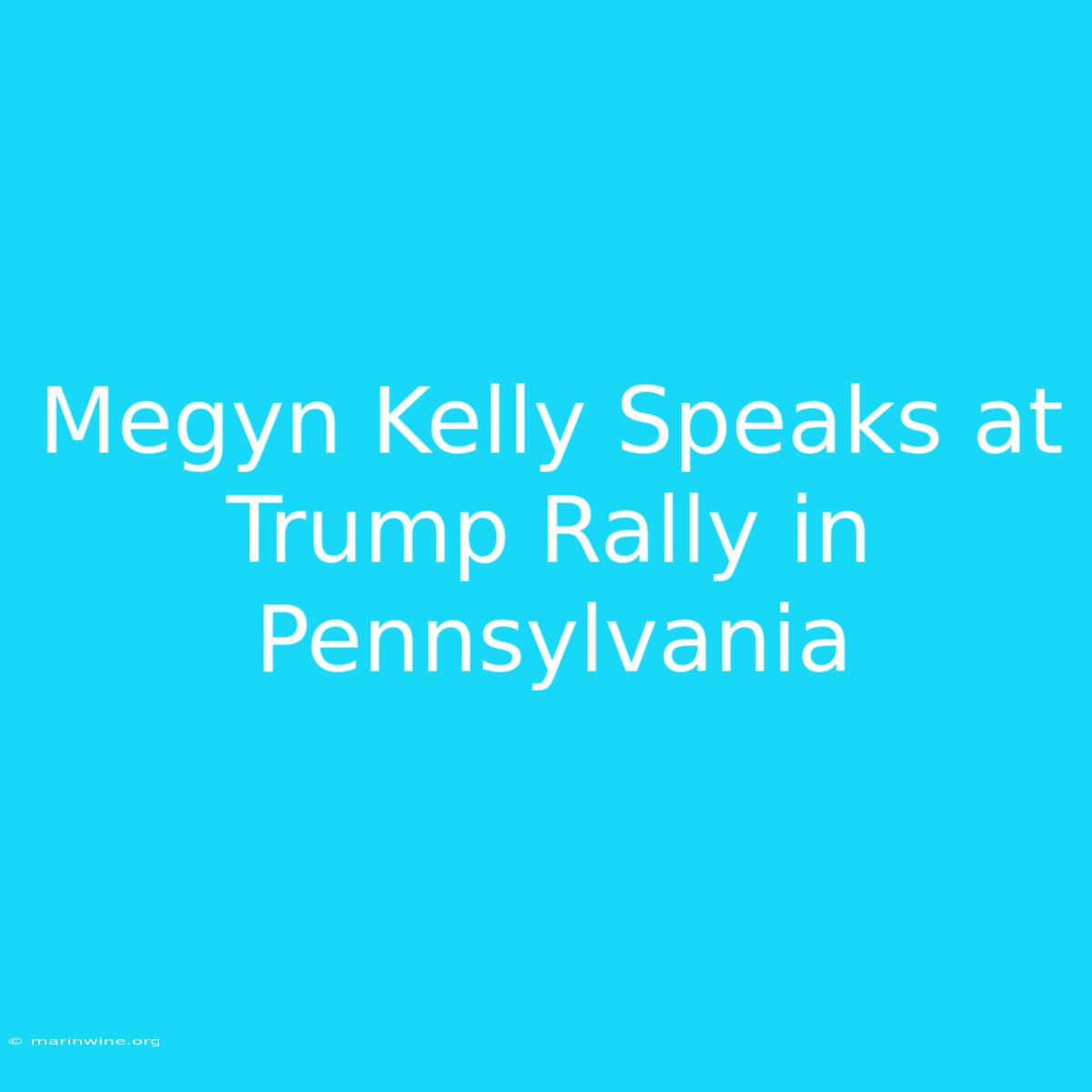 Megyn Kelly Speaks At Trump Rally In Pennsylvania