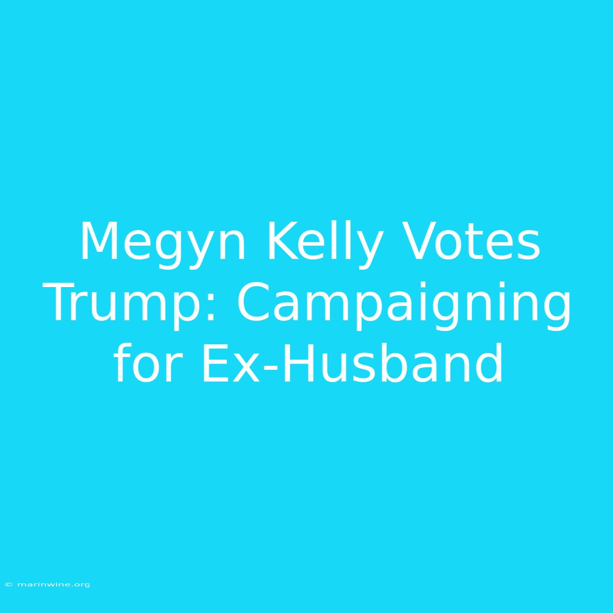 Megyn Kelly Votes Trump: Campaigning For Ex-Husband 